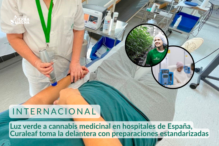 Luz verde a cannabis medicinal en hospitales de España, Curaleaf toma la delantera con preparaciones estandarizadas