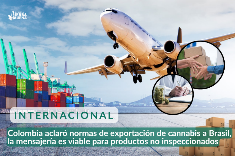 Colombia aclaró normas de exportación de cannabis a Brasil, la mensajería es viable para productos no inspeccionados, según el FNE