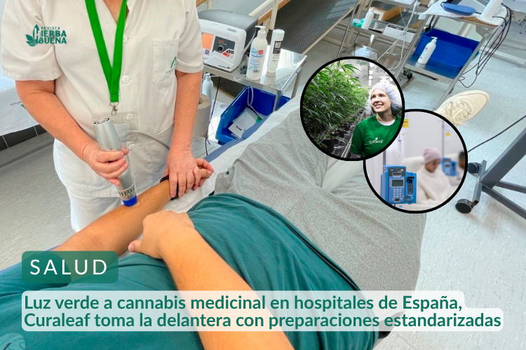 Luz verde a cannabis medicinal en hospitales de España, Curaleaf toma la delantera con preparaciones estandarizadas